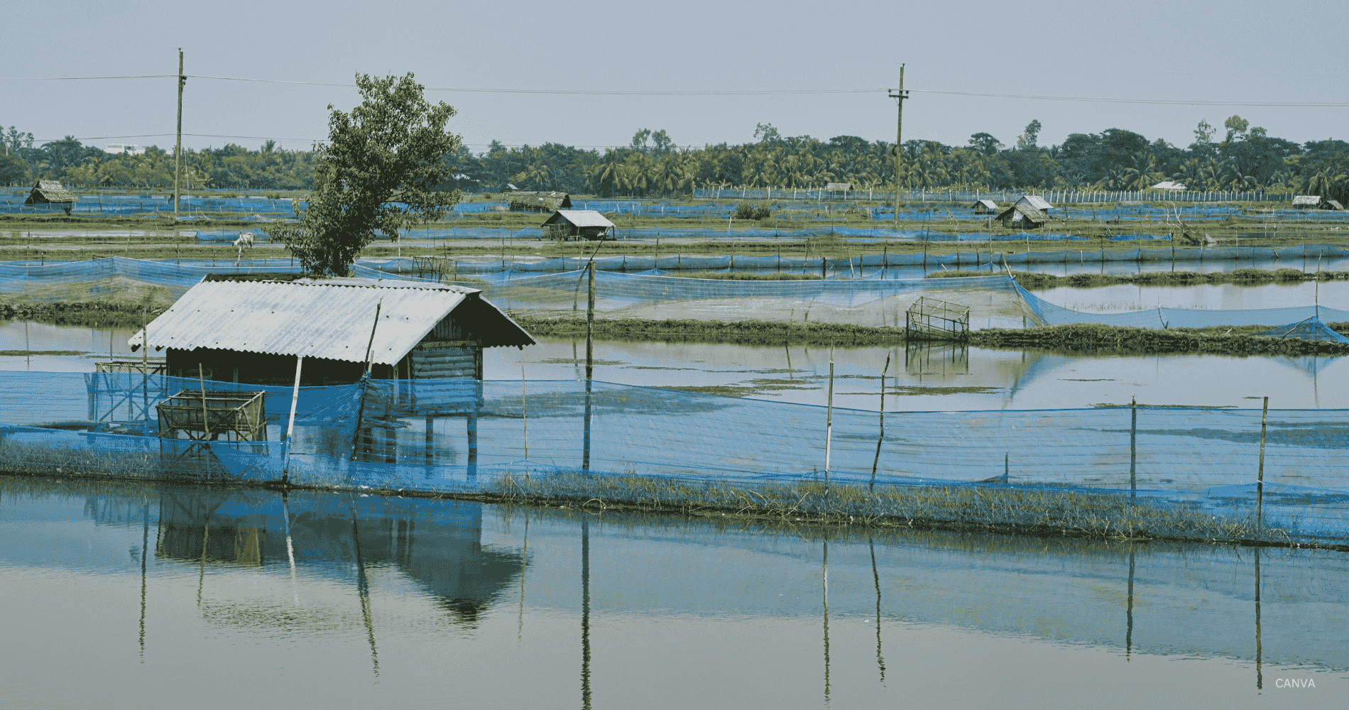 Bicycle-Tour-In-kolkata